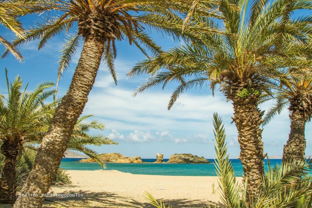 Fedra Apartments, View, Free Parking, 2Mins To Beach Palekastro Buitenkant foto